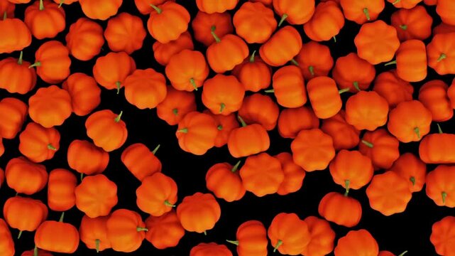 red and yellow pamkin motion graphics clip template with colorful lights animation. HD resolution with hyper realistic 4K black Background.