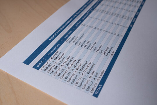 Monthly Payroll Summary Document