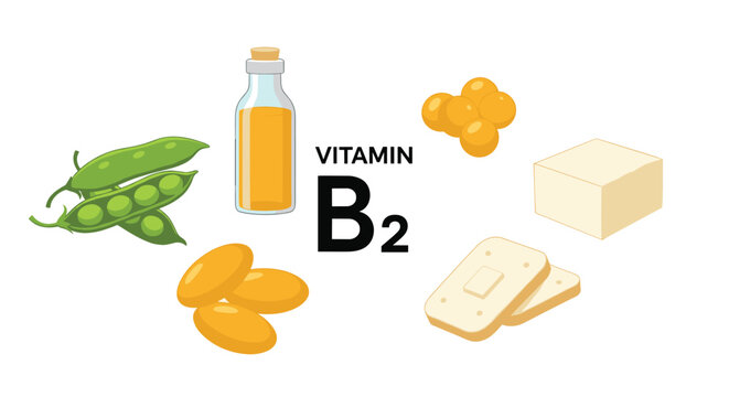 Educational graphic showing various food sources rich in vitamin B2 including green peas, oil, tofu, bread, and yellow supplement capsules.