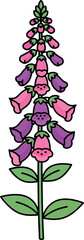 Colorful cartoon illustration of foxglove flowers in pink and purple hues with green leaves © vector