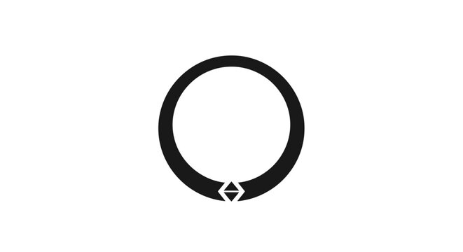 Black rubber O ring seal.