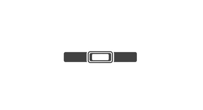 Black leather belt with silver buckle.