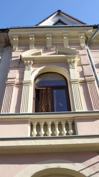 Vertical screen lonely dog looking out window from old house facade waiting at home quiet moment pet boredom indoors sunny day urban living feeling isolation