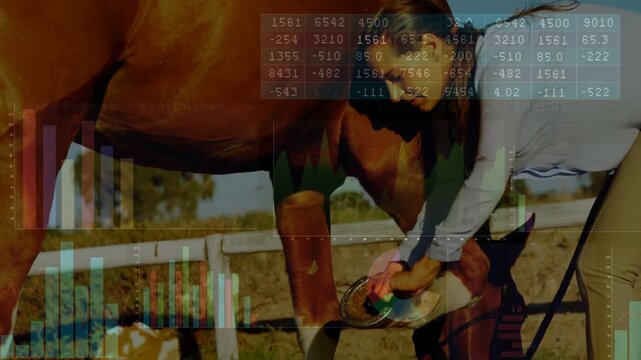 Horse lifting hind hoof woman bending holding hoof fitting shoe for hoof health faint chart overlay