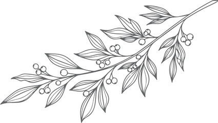 Plakat Black and white line of a berry branch leaves