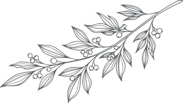 Black and white line of a berry branch leaves