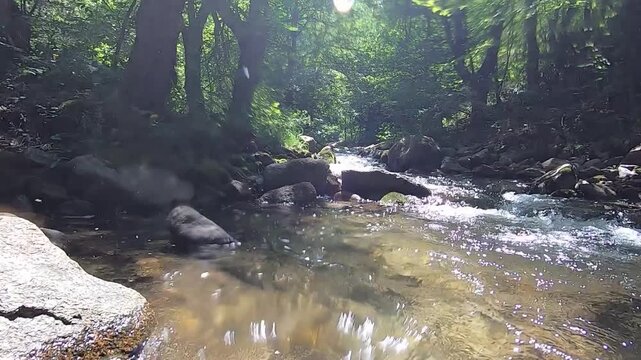 A low-angle shot moves smoothly upstream through a clear, beautiful forest river. The fresh water cascades rapidly over mossy rocks surrounded by lush green trees and filtered sunlight.