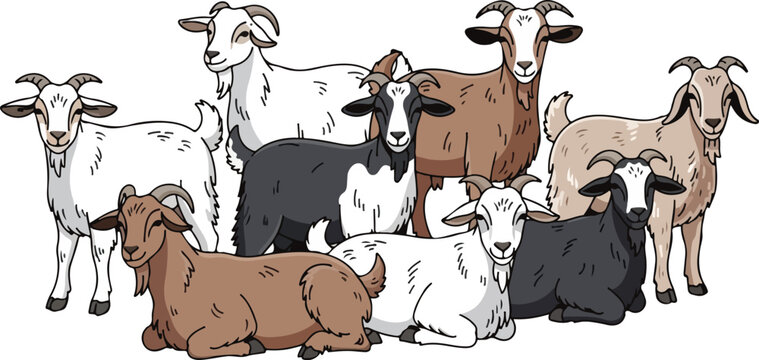 Goats Illustration Cartoon Style Herd of Farm Animals