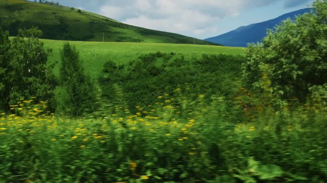 Lush green hills roll under bright sky. Yellow wildflowers dot vibrant meadows. Trees line gentle slopes. Peaceful nature scene perfect for travel or environmental projects
