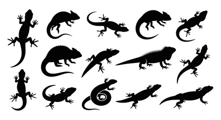 Lizard Silhouettes Collection © nia