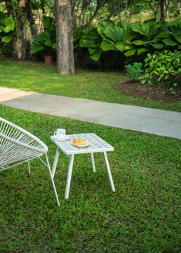 Backyard Tropical Green. Home lawn and garden for background.