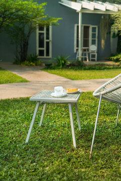 Backyard Tropical Green. Home lawn and garden for background.