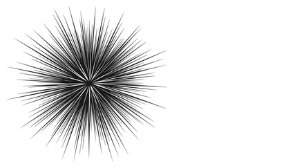 Fototapeta premium Sharp and dense black sunburst or starburst graphic with numerous thin lines radiating from a central point on a white background.