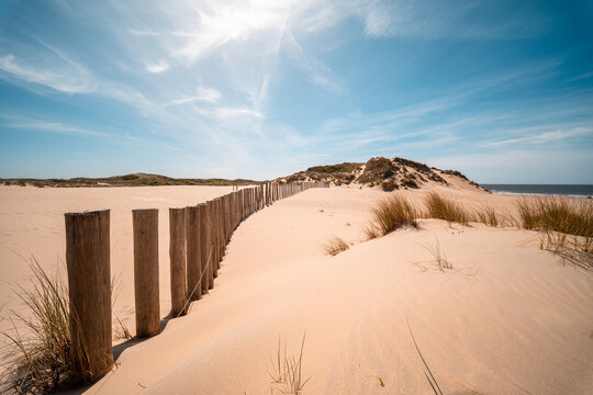 Image of sand dunes at the beach with wooden poles