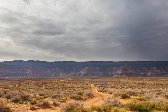 Road in prairie