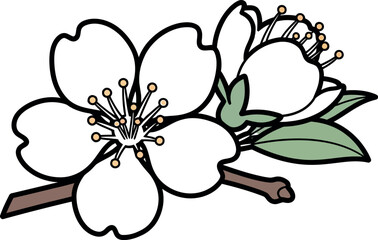 Obraz premium Cartoon cherry blossoms on brown branch with green leaves isolated on transparent background