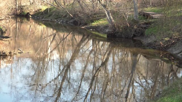 Calm forest stream flows gently while reflecting nearby bare trees on a bright spring day. Perfect for nature documentaries, environmental stories, or peaceful cinematic scenes. 