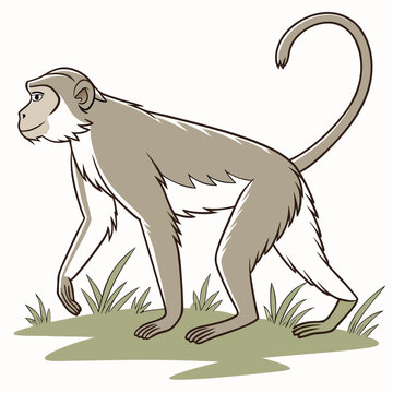 Monkey illustration in side profile stepping forward on green grass