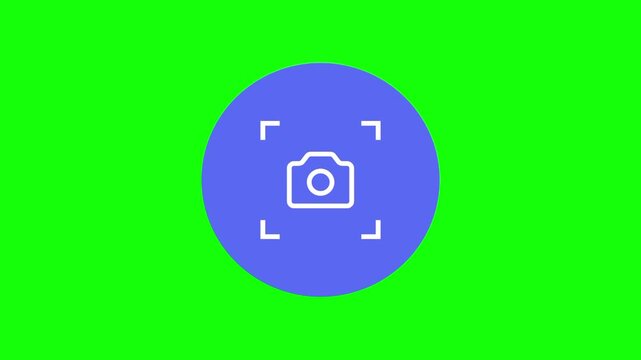 Digital camera icon animated mockup cartoon vector. Multimedia idea, picture, photography symbol. Popup clipart shape animation green screen background template.