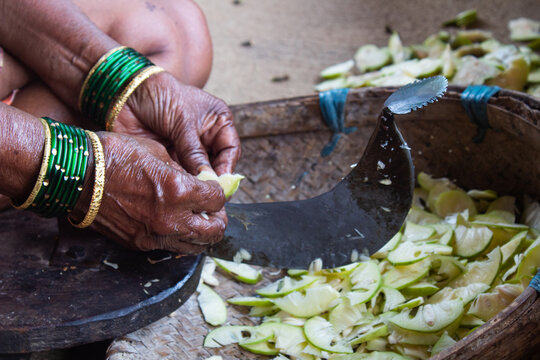 Close-Up of Monkey Jack Fruit Slicing Process by Hand, Monkeyjack, Artocarpus, Lacucha, Fruit