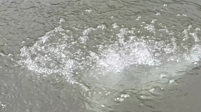 Water Fountain Bubbles in Pond with Splashing Flow and Refreshing Outdoor Scene