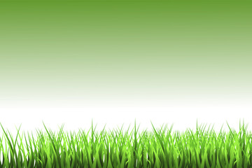 Fototapeta premium Green Grass Border Vector with Lawn, Meadow and Natural Garden Landscape Elements