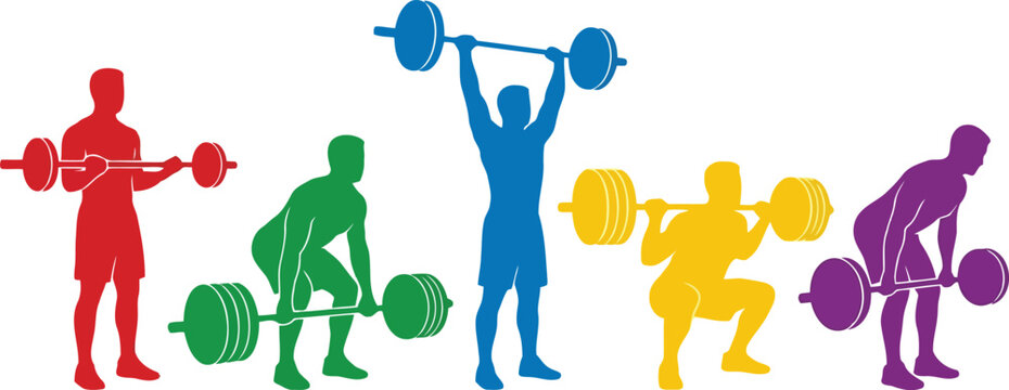Colorful silhouettes of men doing weightlifting exercises with barbells in a gym
