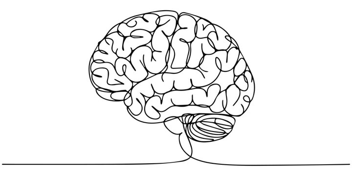 Human brain continuous one line drawing of art vector illustration and intelligence outline concept, brain continuous one line drawing, Continuous one line drawing of human brain. Hand drawn minimal