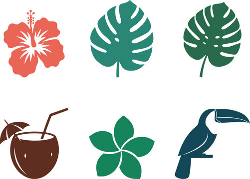 Tropical floral and fauna vector graphics hibiscus monstera coconut toucan high quality vector illustrations