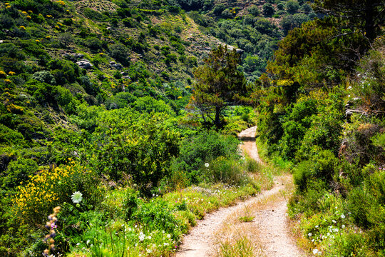 Road to Watermill of Aris potamos near beach town of Karavostamo, Ikaria Greece with mountain cliff landscape nature view