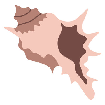 Minimalist hand drawn strombus seashell with wavy edge and complex shape in rich brown tones. This organic nautical element is ideal for exotic coastal branding