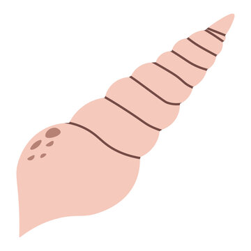 Minimalist hand drawn terebra seashell with long spiral shape in sandy beige and brown tones. This nautical element is ideal for coastal branding or summer beach decor