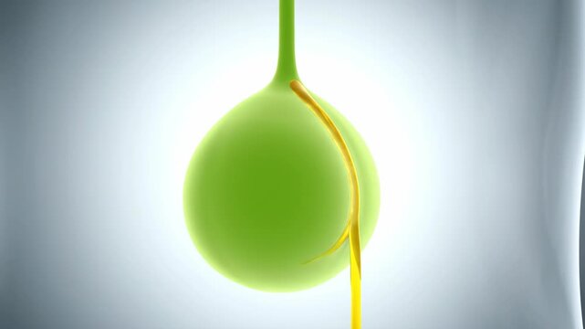 3D Visualization of Human Gallbladder Releasing Golden Bile
