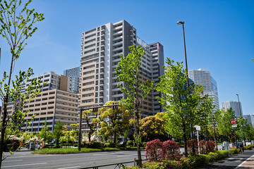 Obraz premium 晴海通りから見る豊洲の景観 東京都江東区