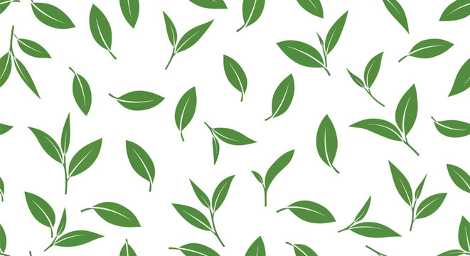 Green tea leaves pattern, hand drawn style, repeating on a white background