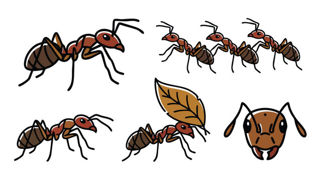Ant Cartoon Character Set Different Poses Carrying Leaf and Close Up