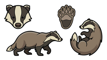 Badger Cartoon Set Poses Head Paw Print and Curled Position © welyalfian