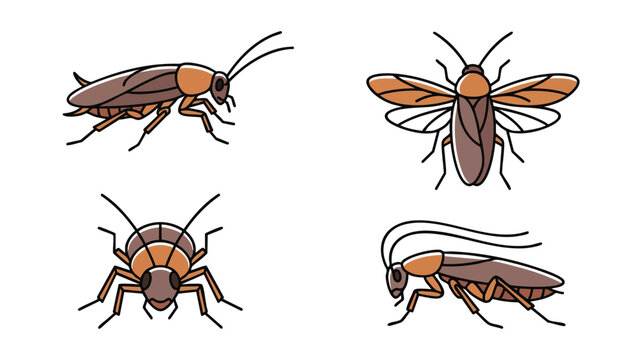 Cockroach Vector Set Insect Pest Illustration Collection