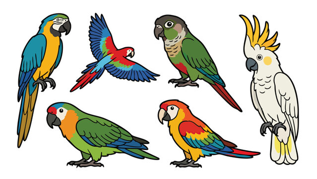 Colorful parrot set with macaw cockatoo and flying tropical birds vector illustration