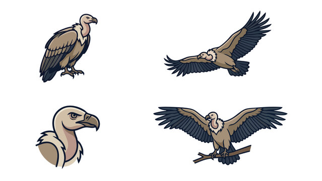 Griffon Vulture Vector Character Set in Flying and Perched Poses