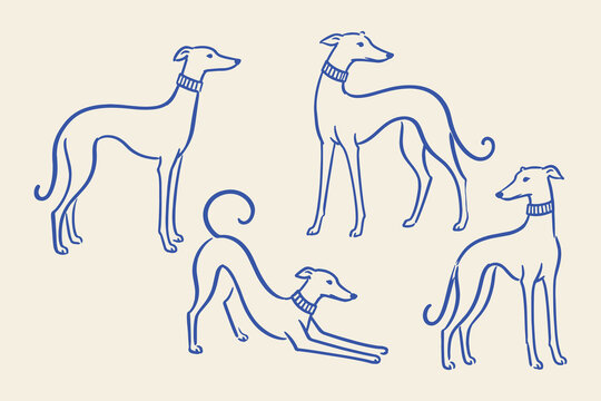 Greyhound dog poses set naive sketch vector illustration