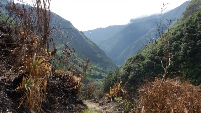 Walking along a remnant of an Inca Road in Ecuador. In the Rio Verde Chico Valley near Banos in the Ecuadorian Andes. Only a few sections of this presumably Inca stonework remain on this trail.