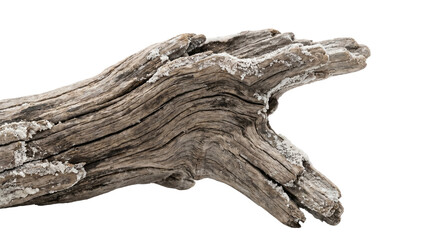 Fototapeta premium Textured weathered driftwood with salt deposits showcasing natural organic grain patterns