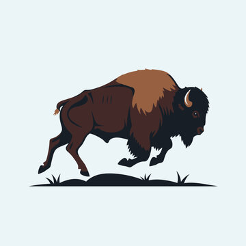 Majestic American Bison Charging Across the Plains in Dynamic Motion.