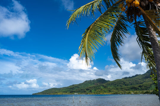 Coastline and Mountains on Tahaa Island, French Polynesia