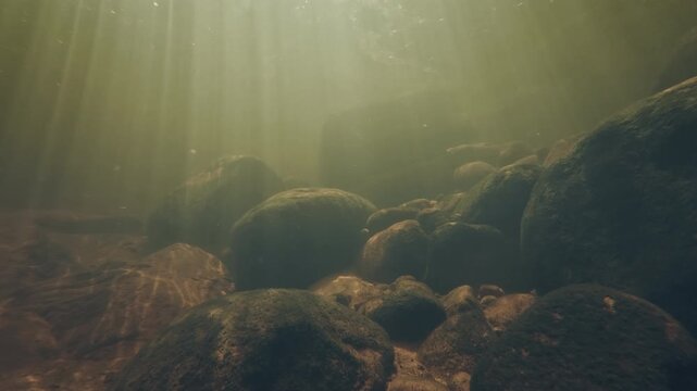 Underwater view of the river with rocky bottom