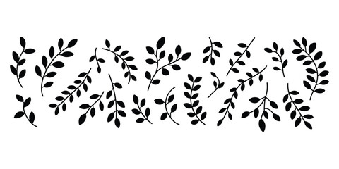 Black silhouette branches with leaves on white background © MDRAJU