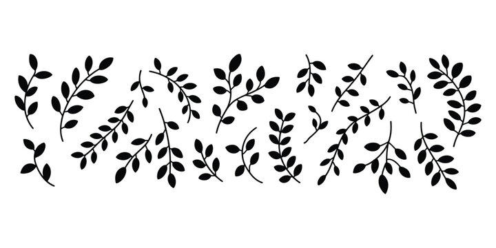 Black silhouette branches with leaves on white background