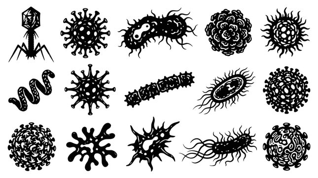 Medical Biology Microorganism Black  White Glyph Set: Virus  Bacteria Pathogen Icons