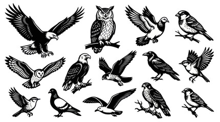 Obraz premium Vintage Engraving Style Birds Vector Illustration Set - Wildlife Nature Animals Black and White Art